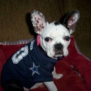 Meet your Posher, Alisha d